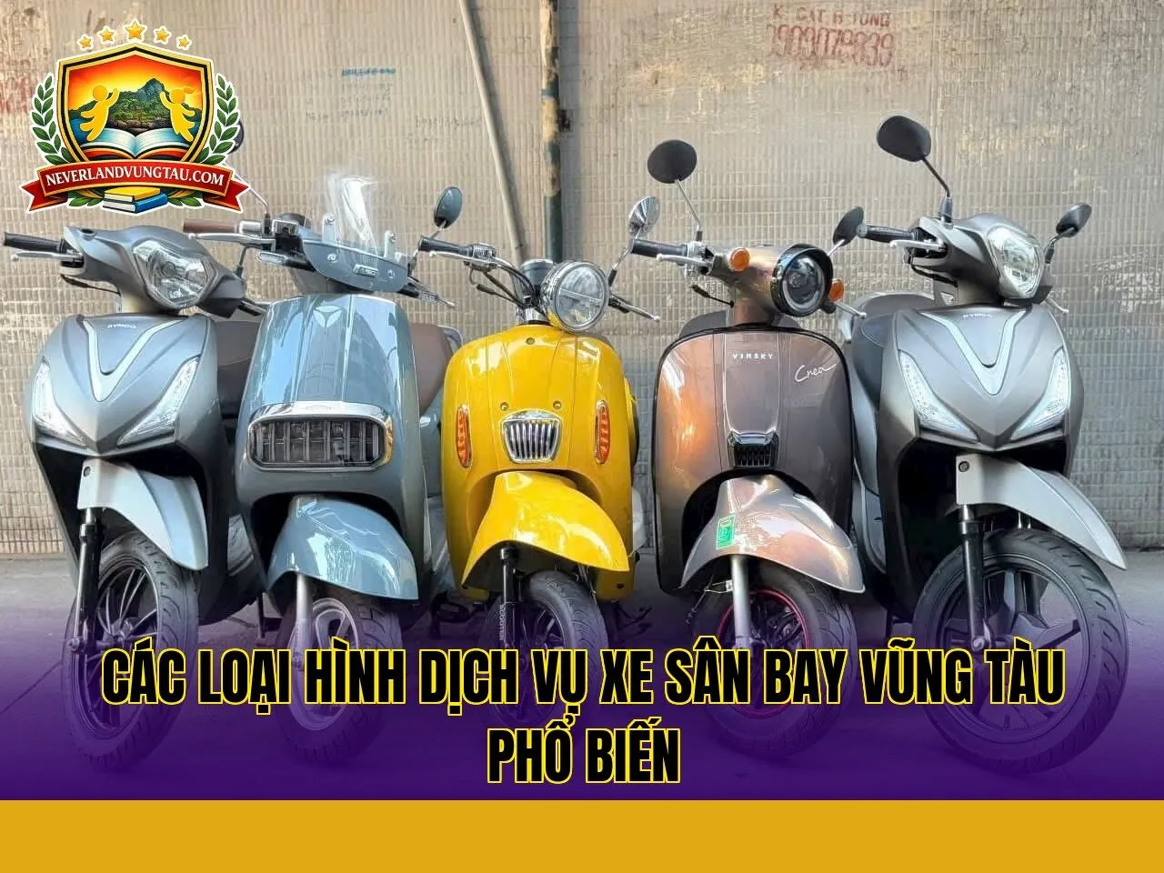 các loại hình dịch vụ xe sân bay vũng tàu phổ biến