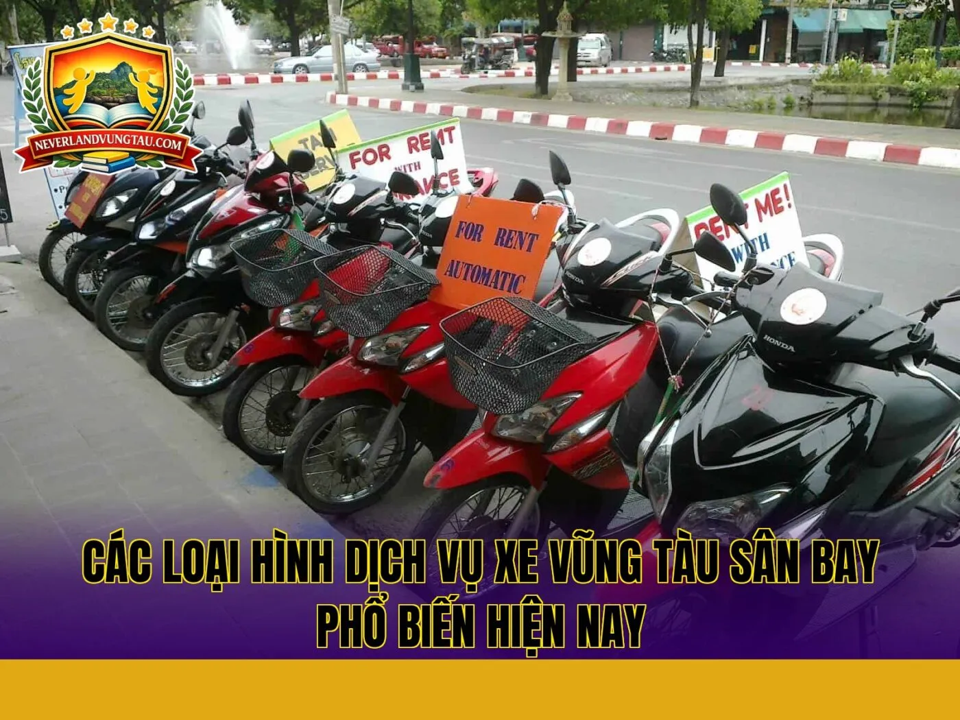 các loại hình dịch vụ xe vũng tàu sân bay phổ biến hiện nay