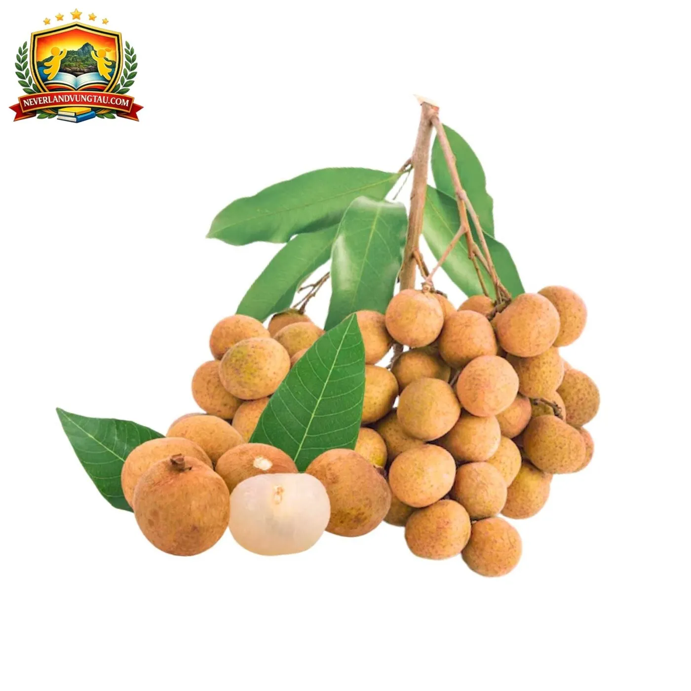 bảng tổng hợp chi phí và địa chỉ ăn uống uy tín tại Vũng Tàu