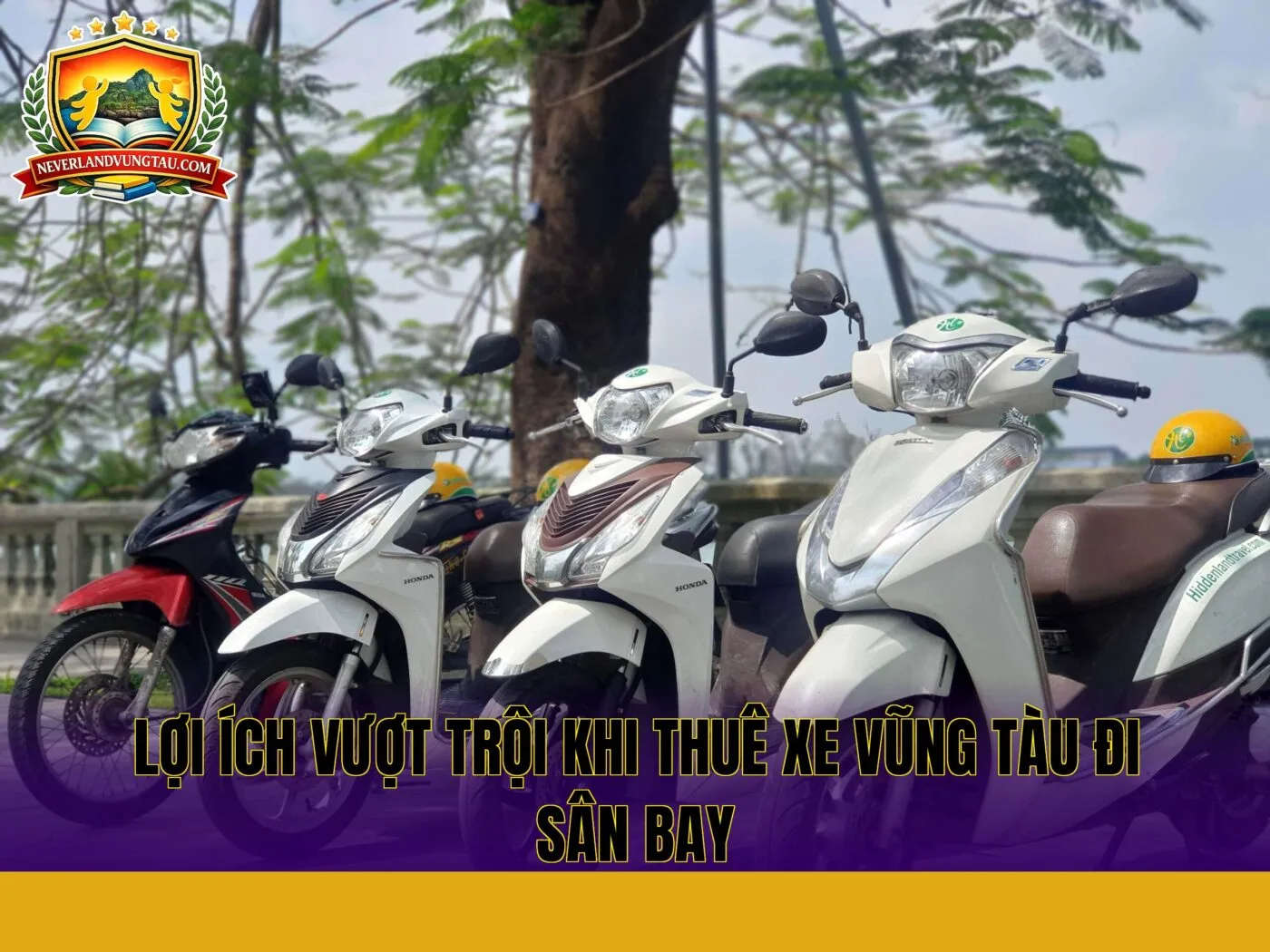 lợi ích vượt trội khi thuê xe vũng tàu đi sân bay