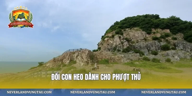 đồi Con Heo dành cho phượt thủ