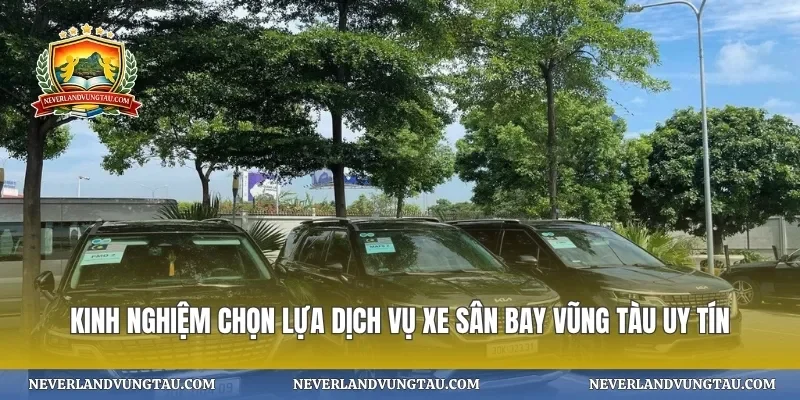 Kinh nghiệm chọn lựa dịch vụ xe sân bay vũng tàu uy tín