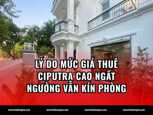 Lý do mức giá thuê Ciputra cao ngất ngưởng vẫn kín phòng
